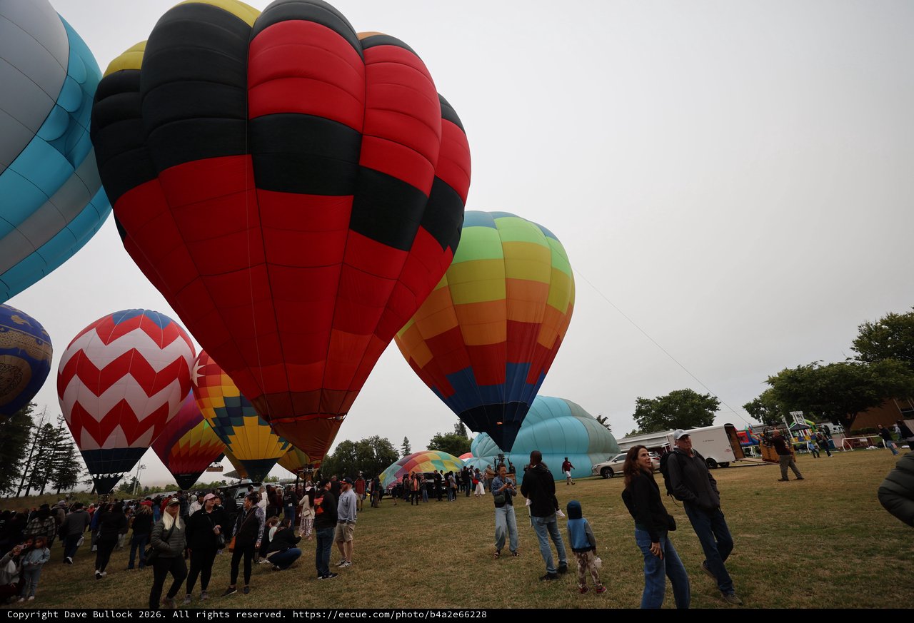 Colorful Giants Rise at Sonoma Balloon Classic