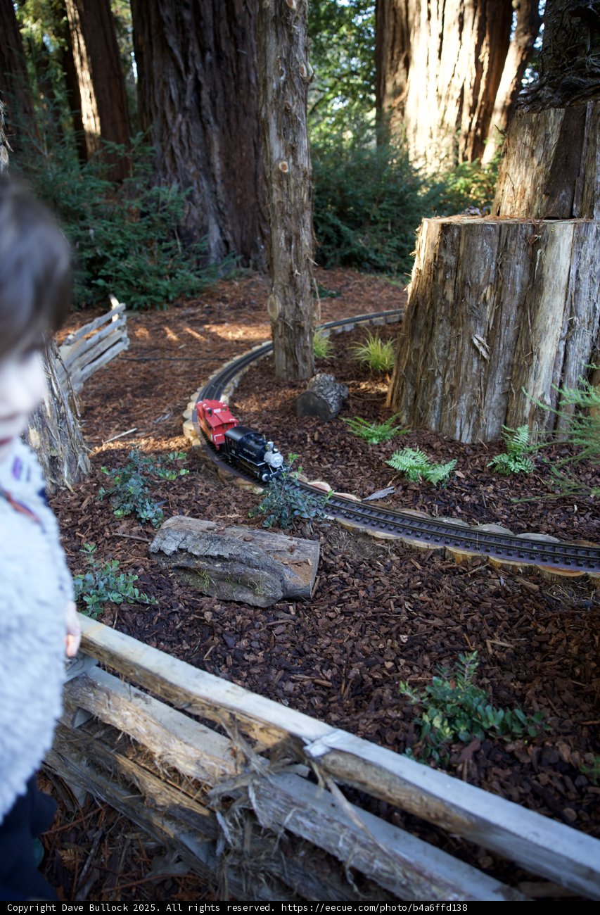 Nature's Miniature Adventure