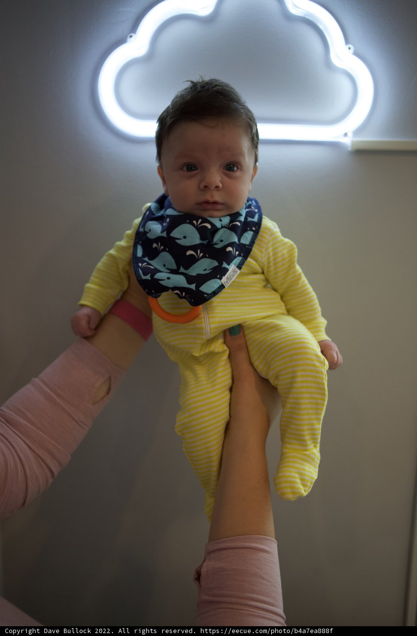 Neon Bright - Wesley at 2 Months