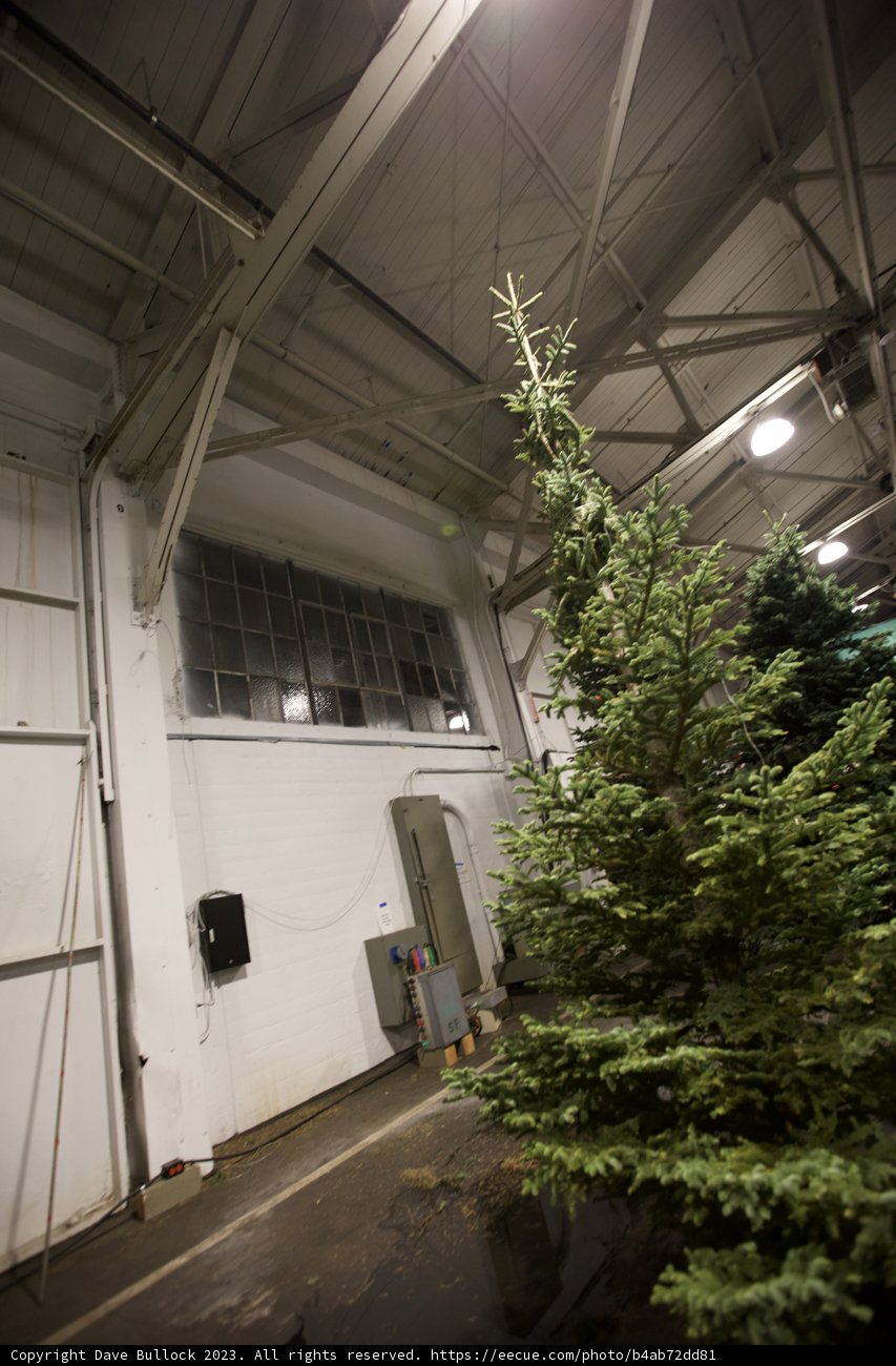 Festive Solitude: Christmas in the Warehouse