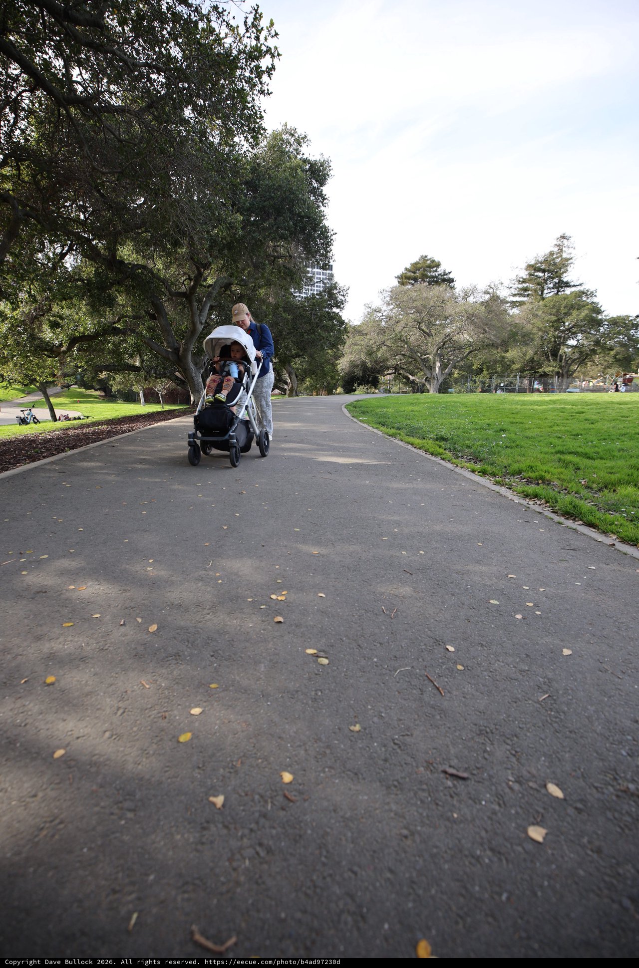 Family Stroll Through the Park on an Overcast Day
