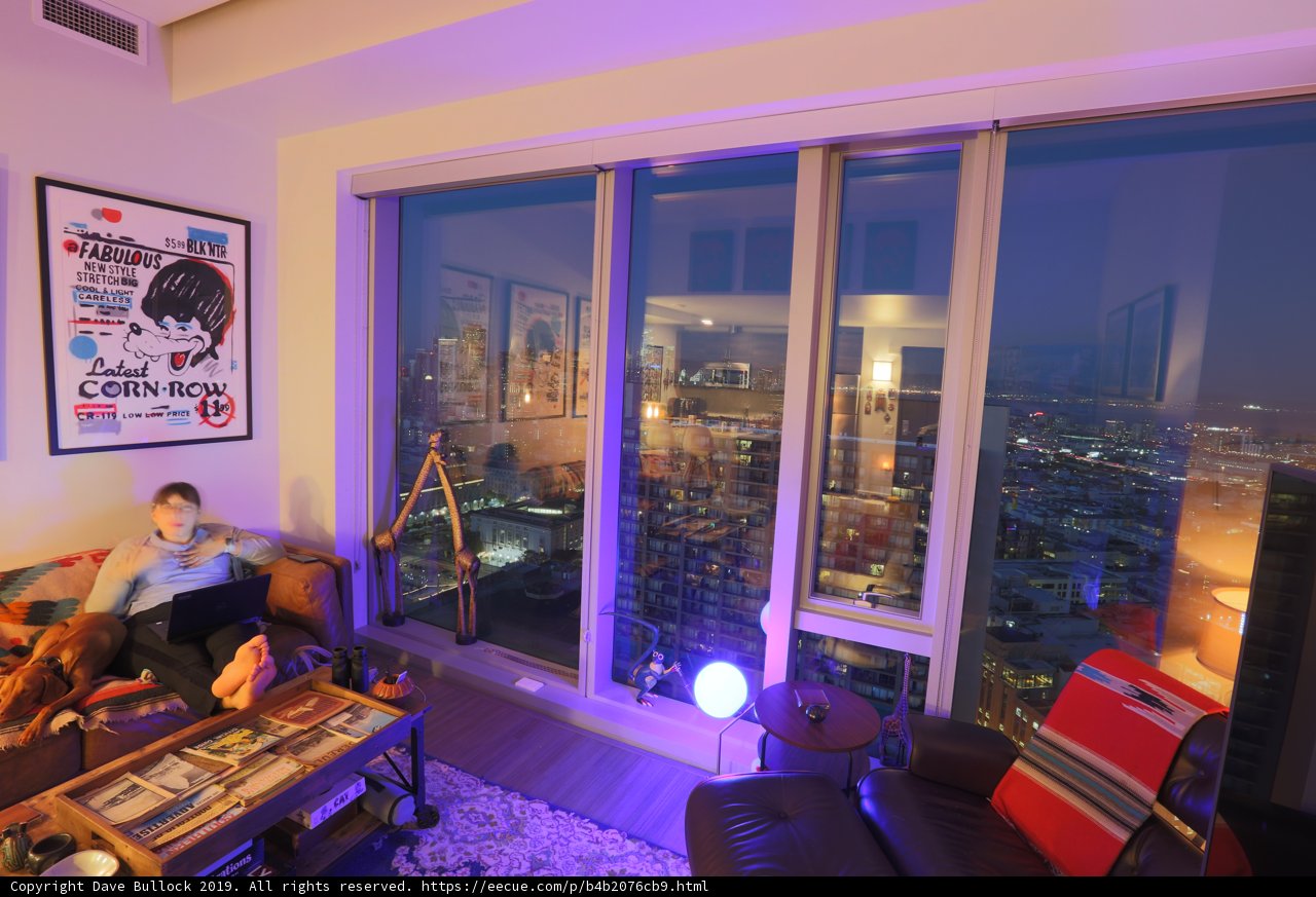 Relaxing at Home on the Cityscape View Sofa