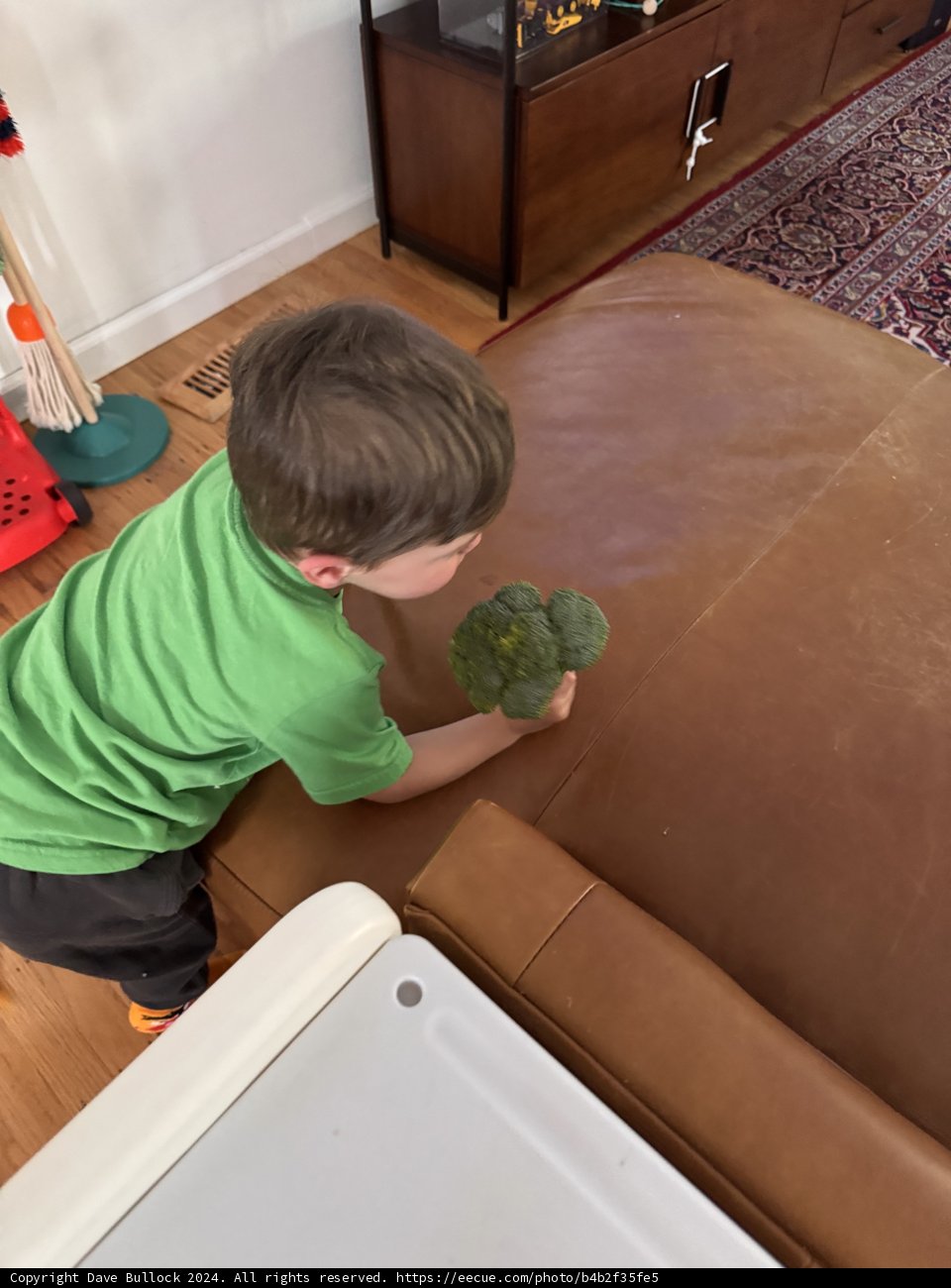 Broccoli Adventures