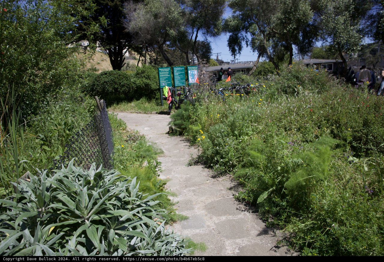Verdant Pathways: Earth Day Celebrations at Alemany Farm