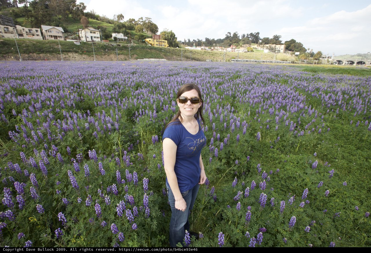 Woman Smiling Amid Vast Purple Lupine Field
