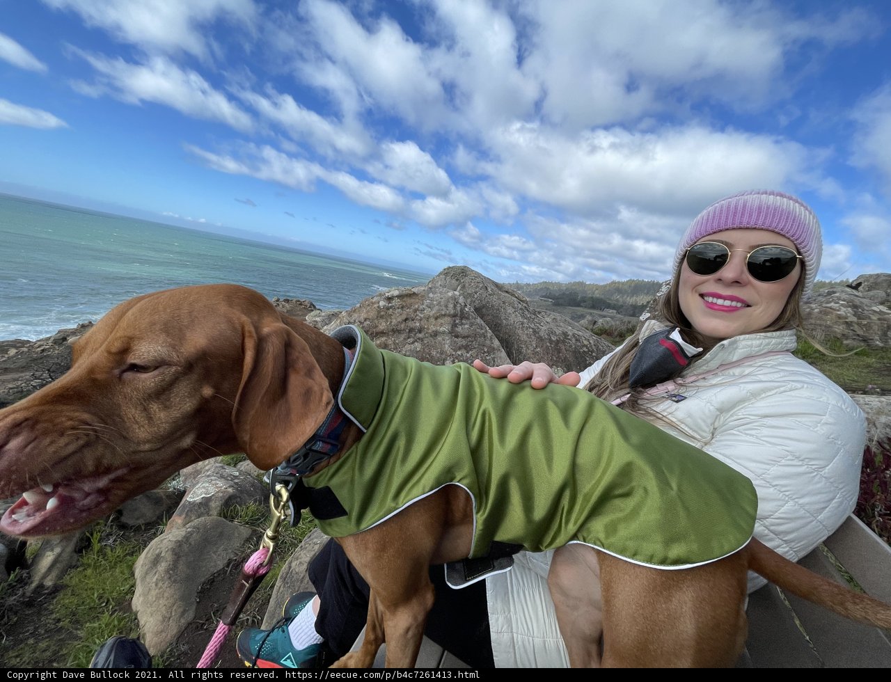 Beach Day with My Pup