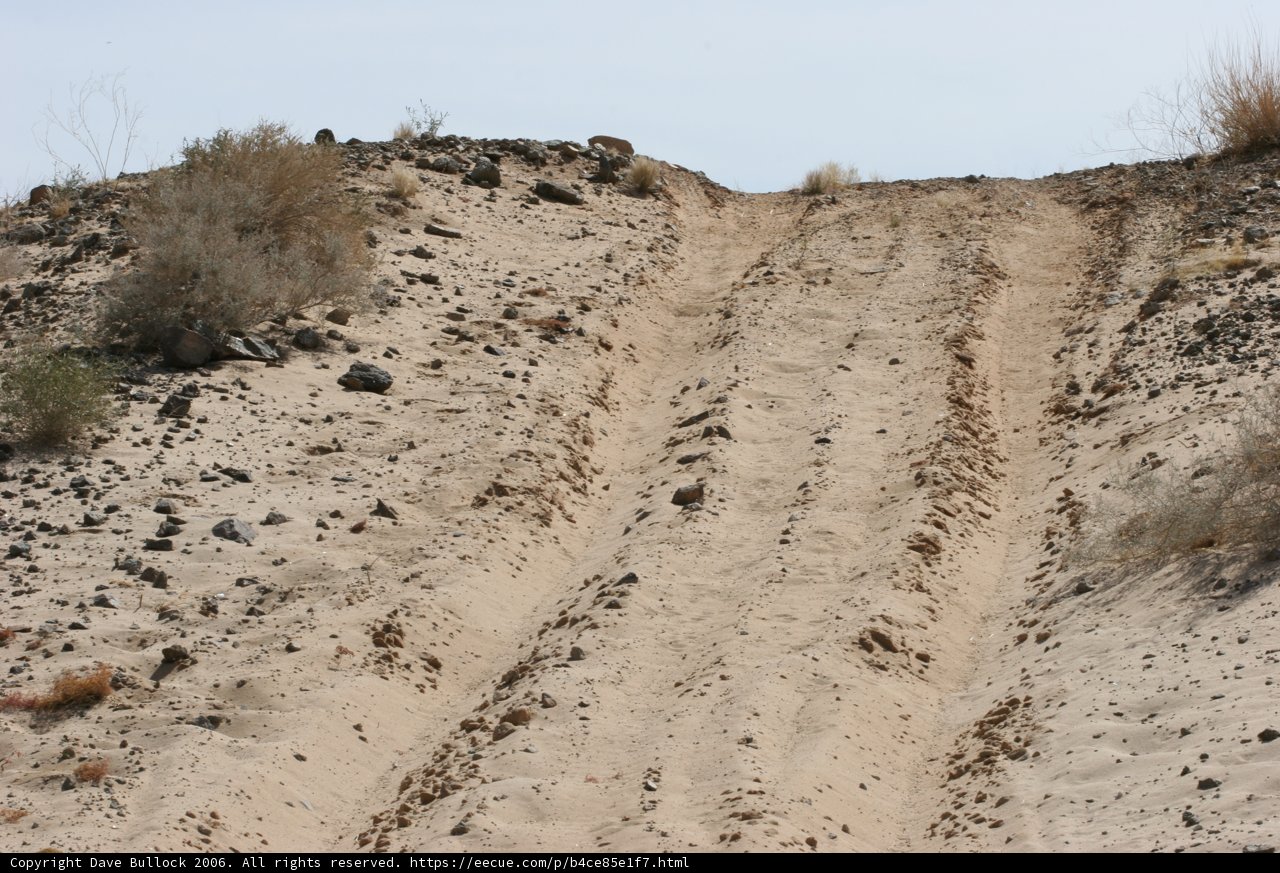Dusty Path with Wild Plants