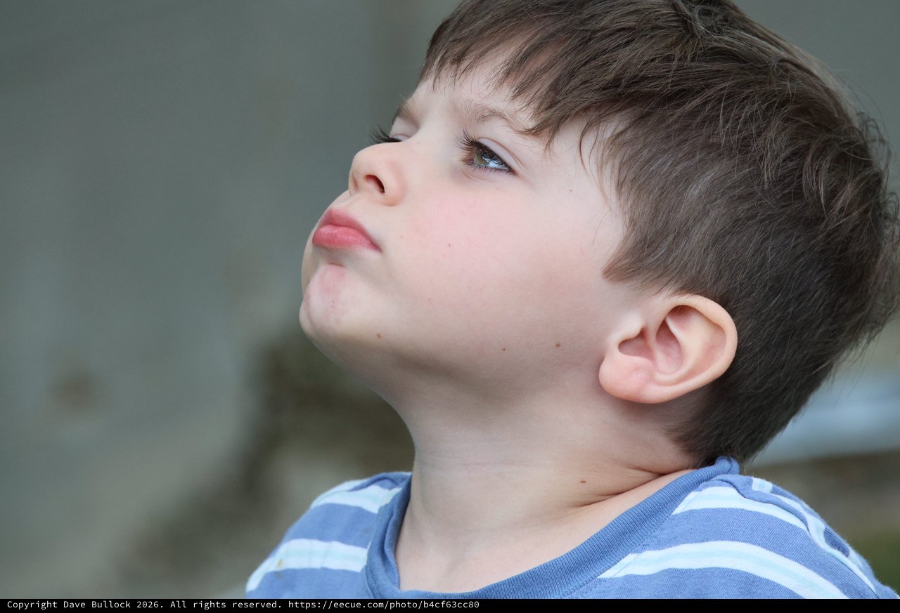 Young Boy Looking Upward in Contemplative Profile Portrait