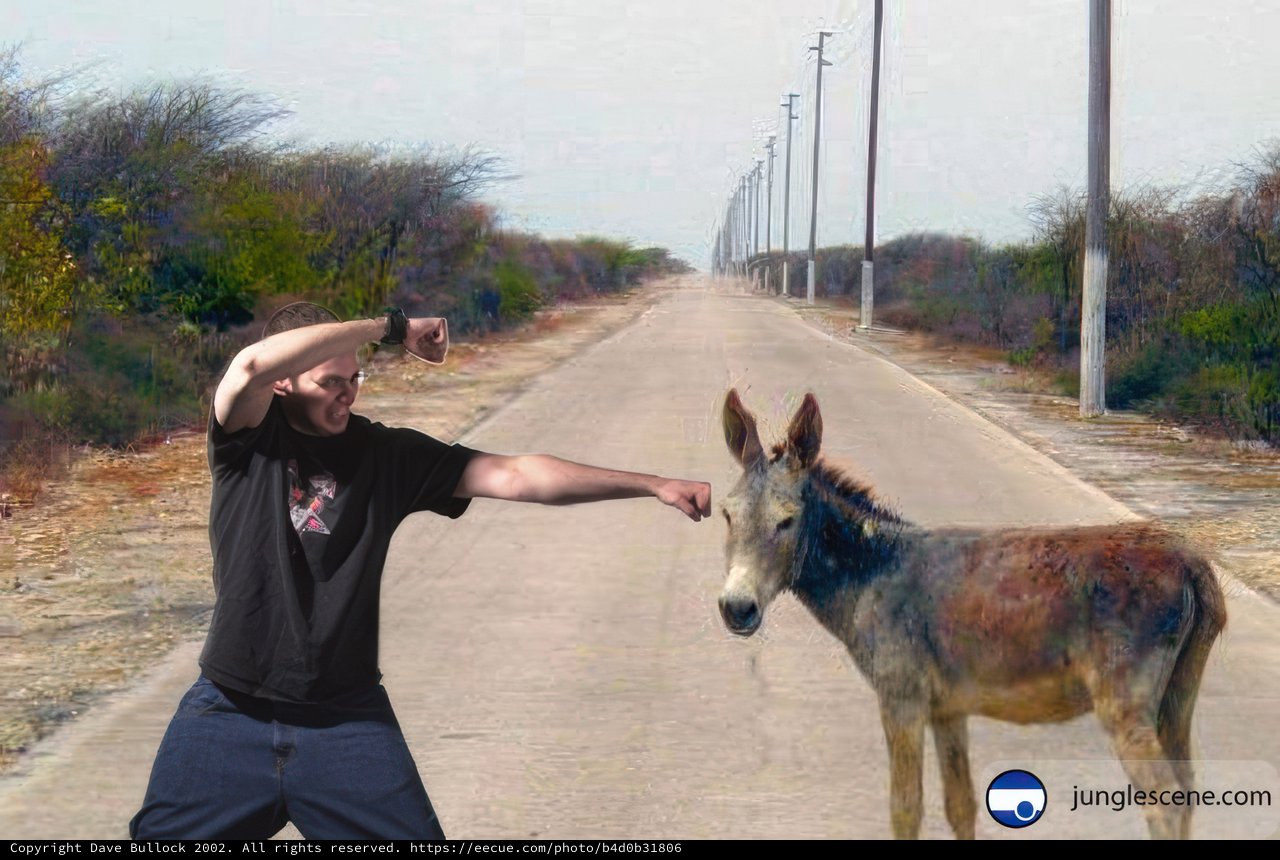 A Boy and His Donkey
