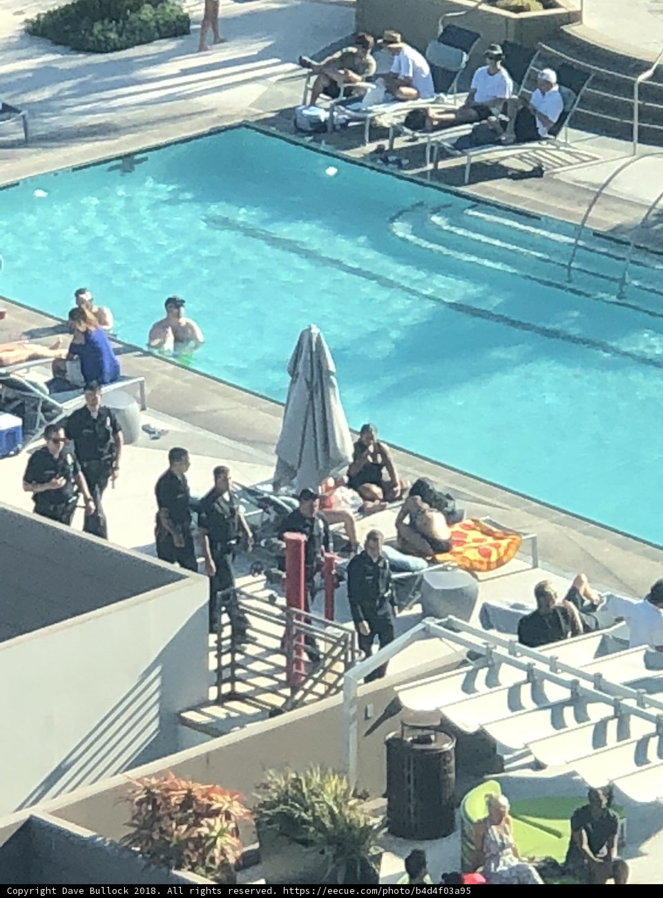 Summer Relaxation by the Pool