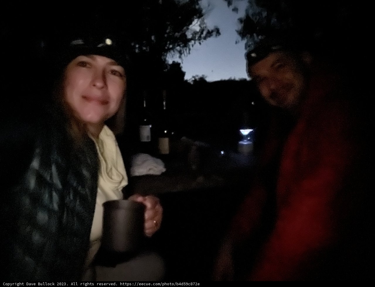 Nighttime Journey in Presidio