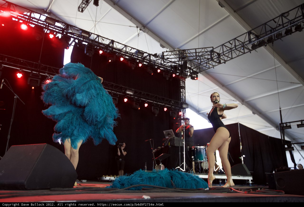 Blue Feathered Duo Rocks the Stage at Coachella Music Festival