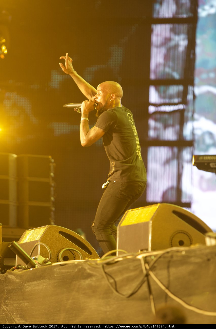 Rocking the Crowd
