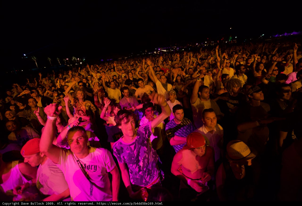 Hands Up at Coachella 2009
