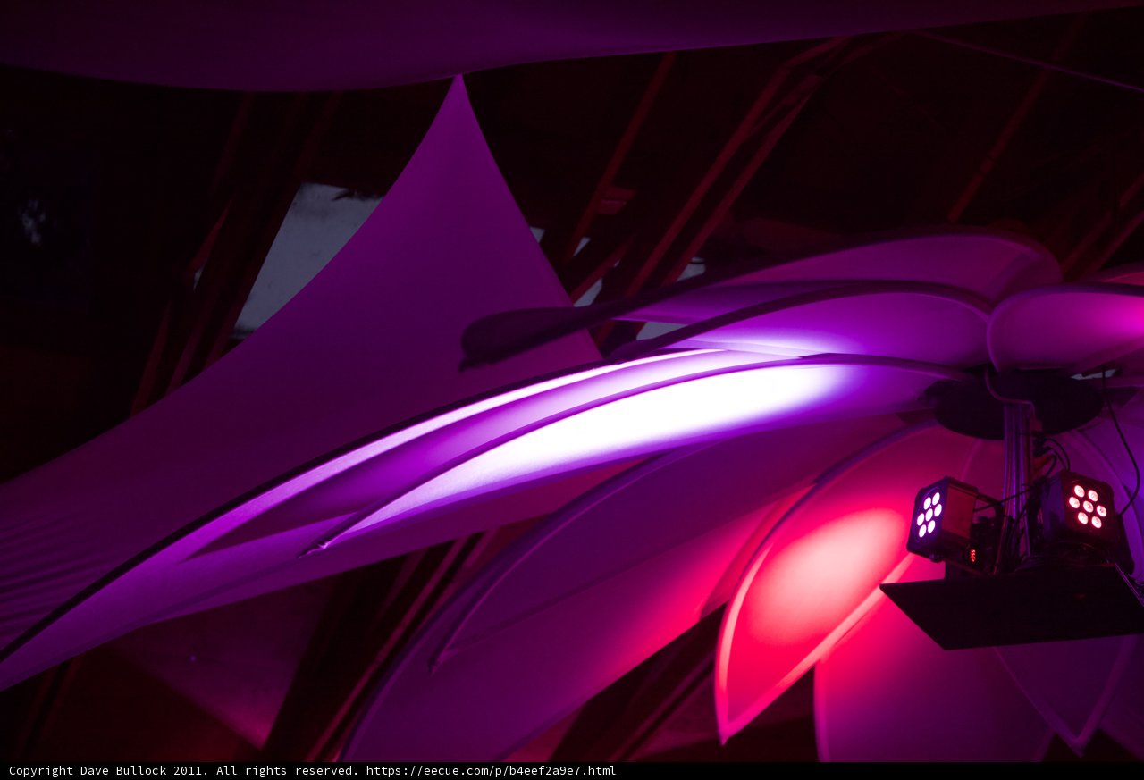 Purple Flower Illuminated with Lights