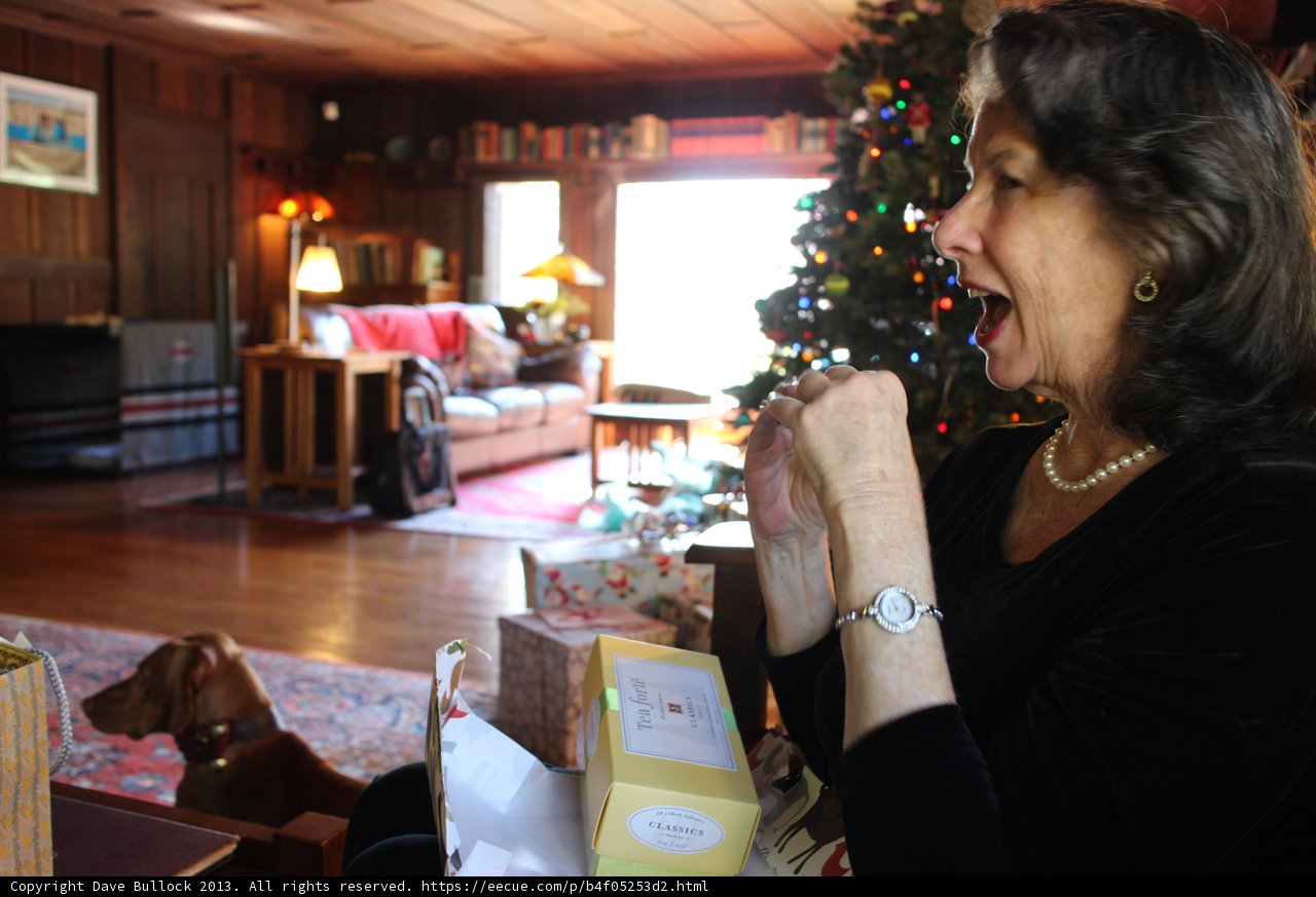Christmas with my furry friend
