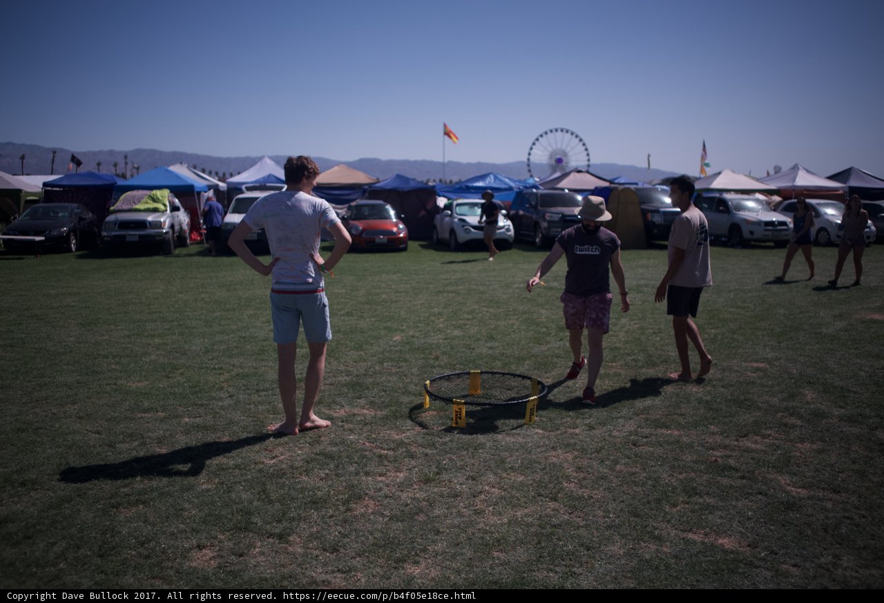 Frisbee Fun in the Field