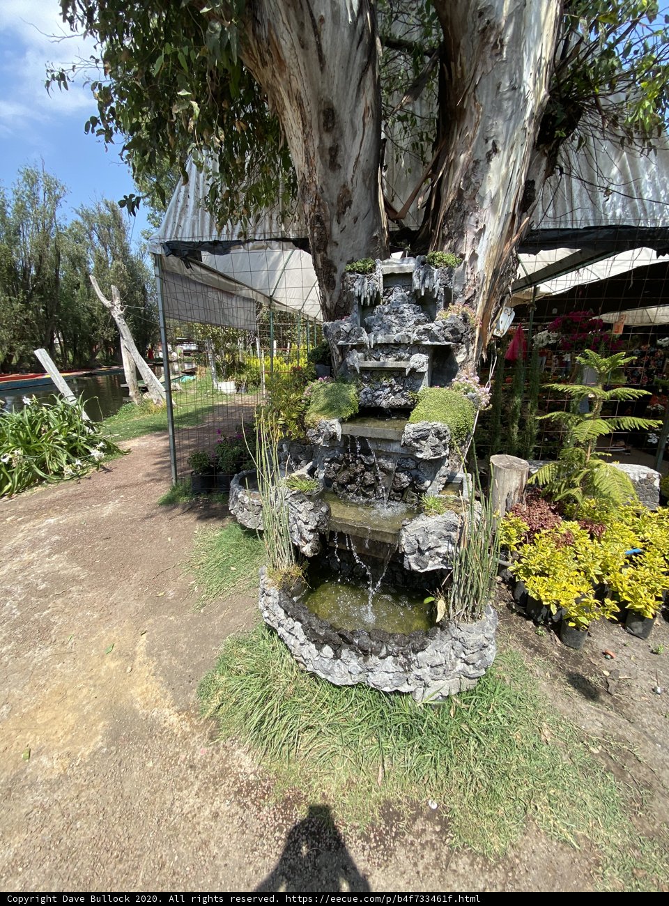 Reflections in Xochimilco