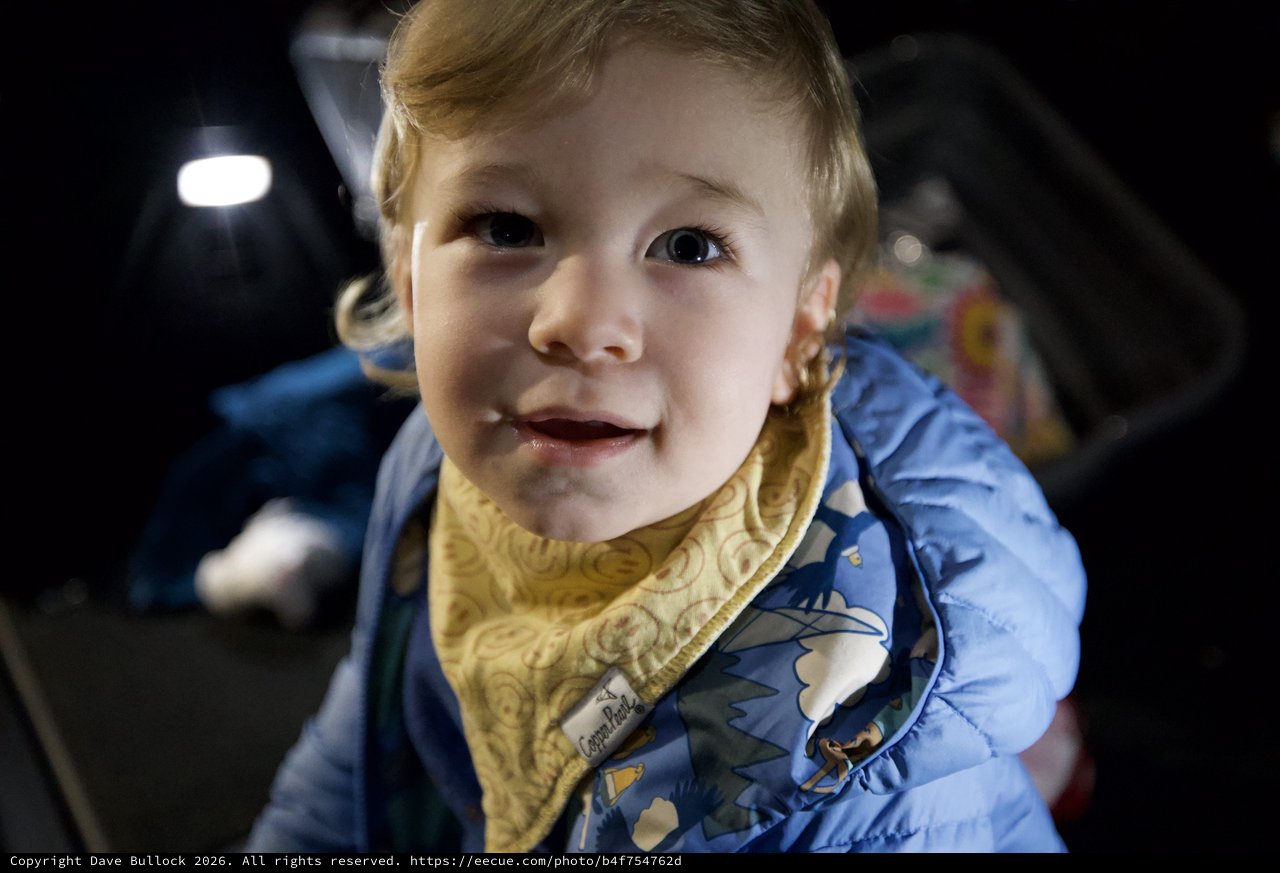 Joyful Toddler in Blue Dinosaur Jacket Smiling at Camera