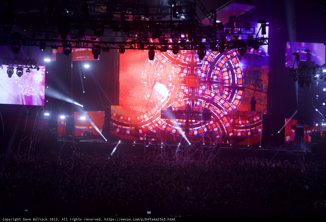 The Night Comes Alive