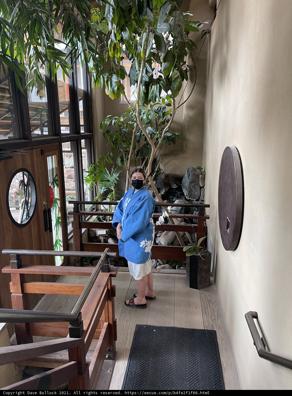 The Man and the Tree