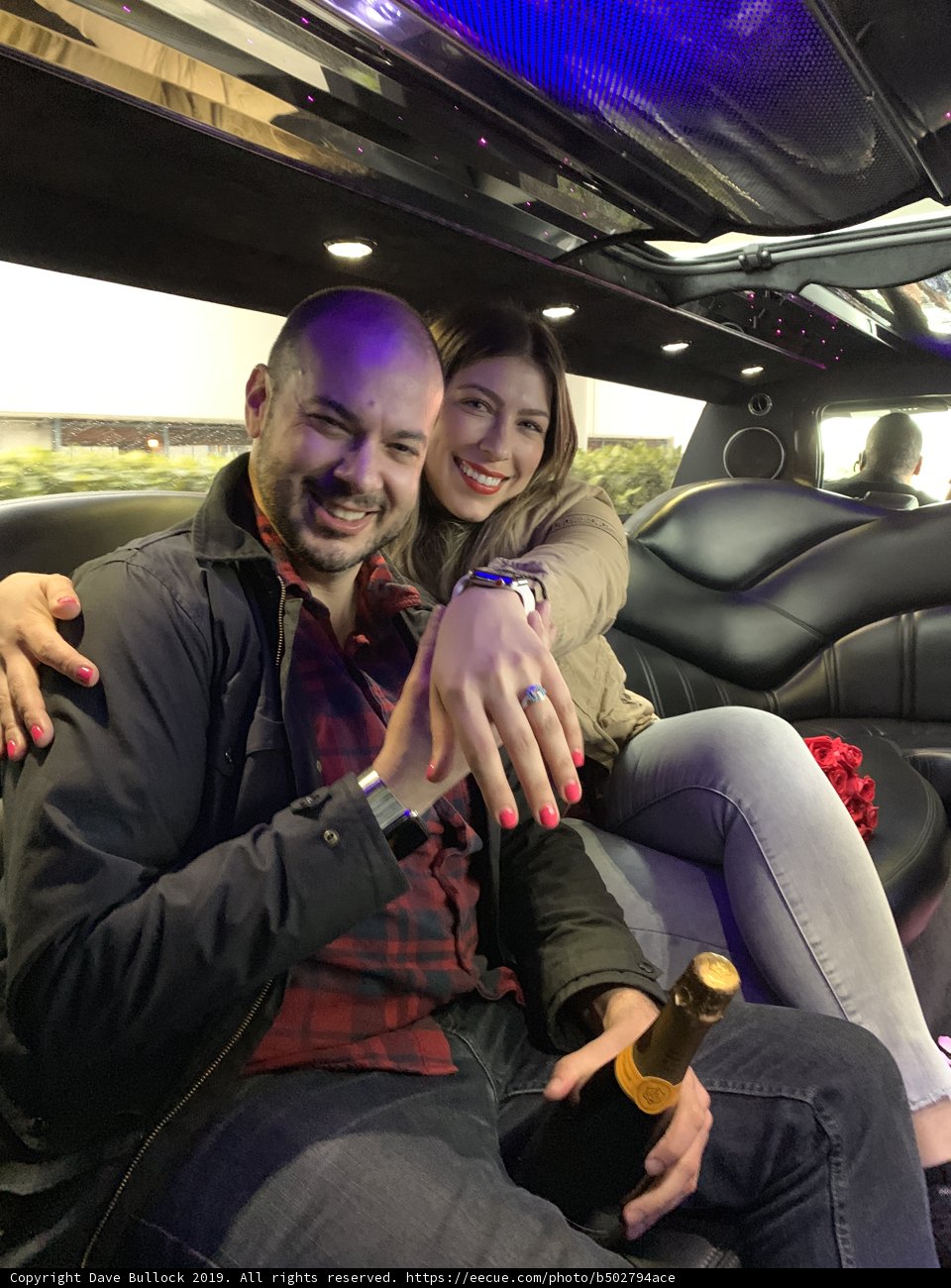 Limo Lovebirds