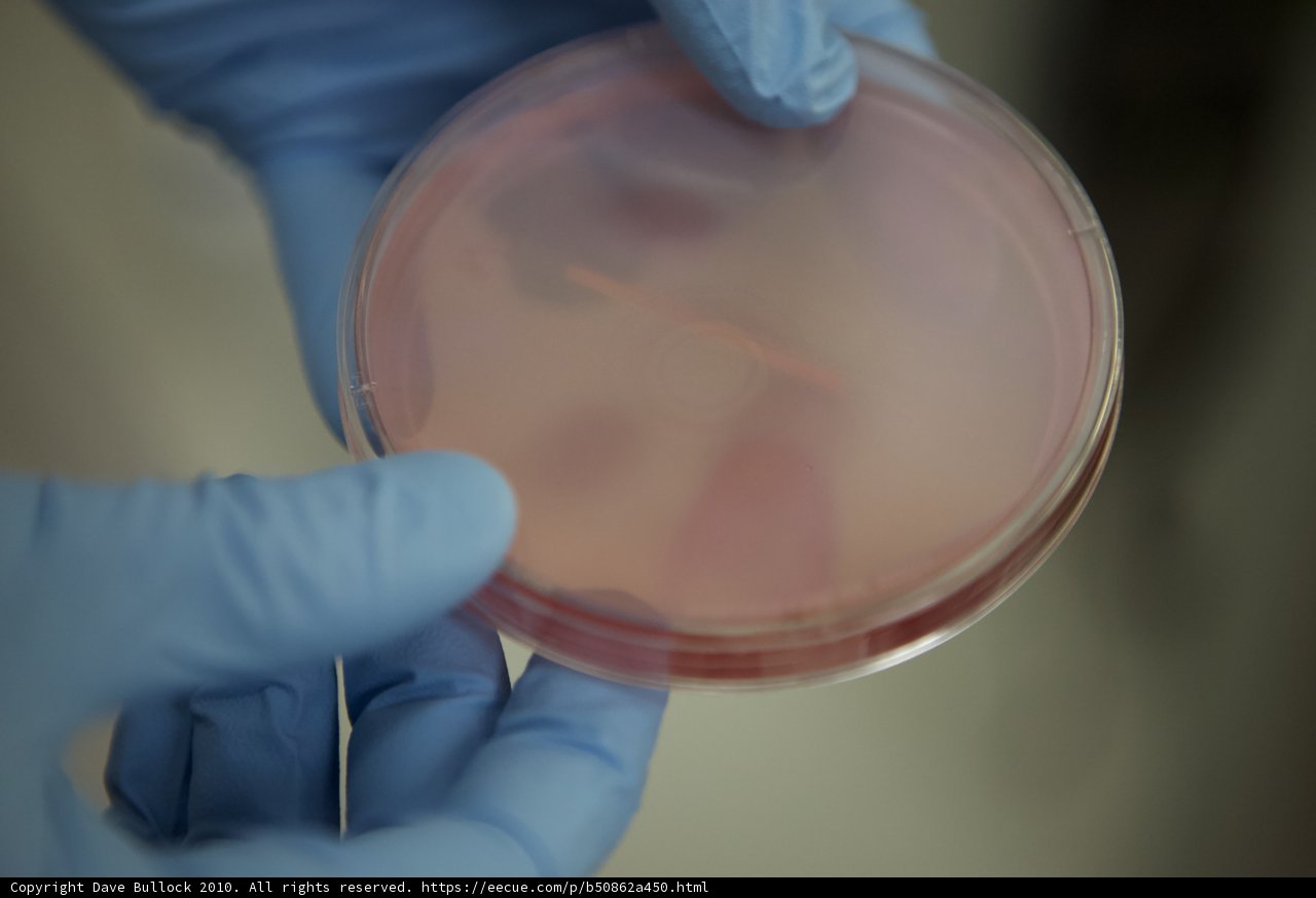 Holding Science in My Hands