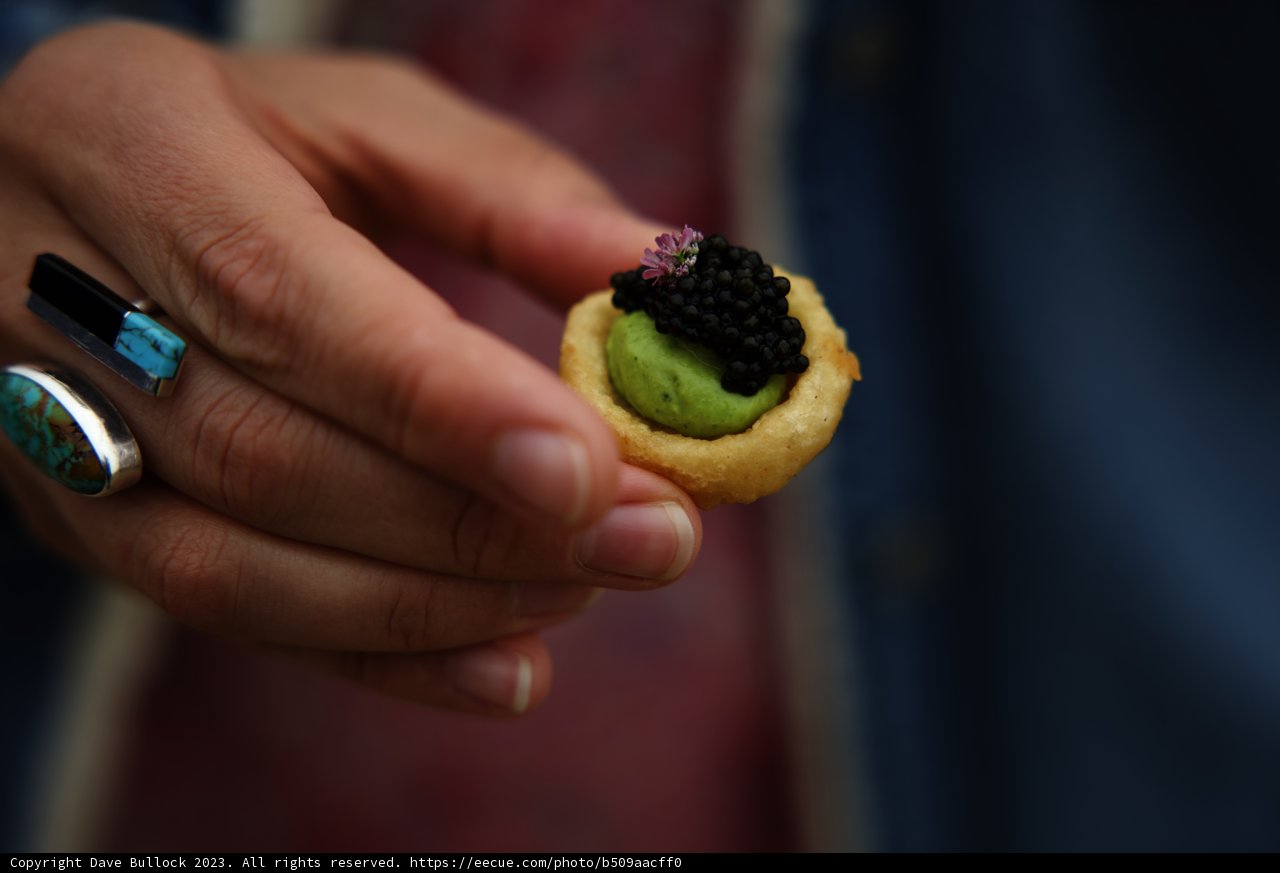 A Berry Sweet Surprise