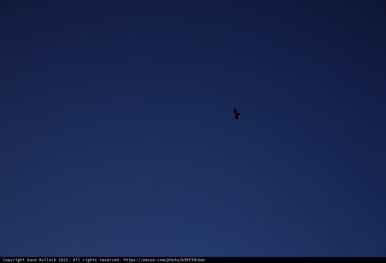 Soaring in the Open Skies