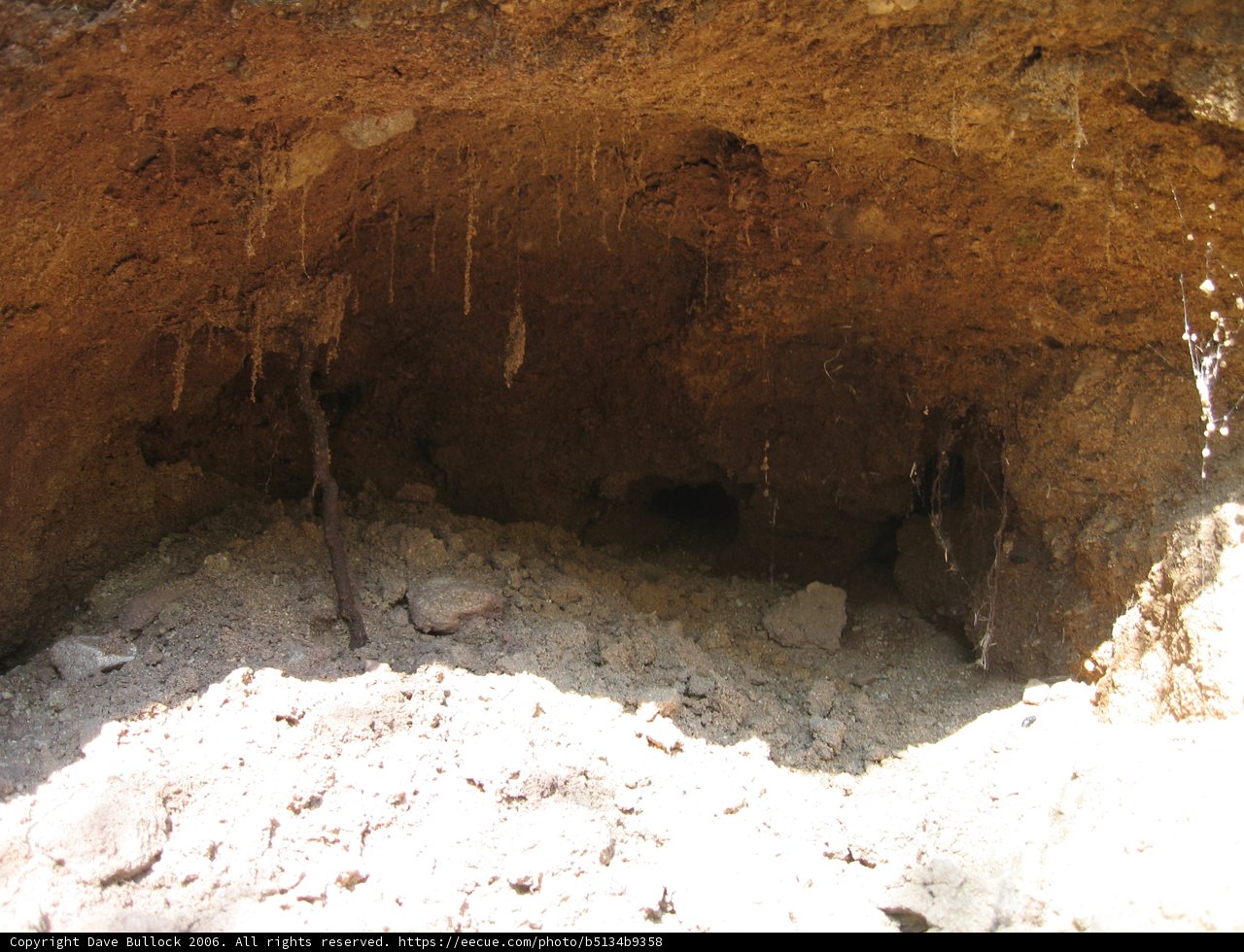 Exploring the Depths of the Cave