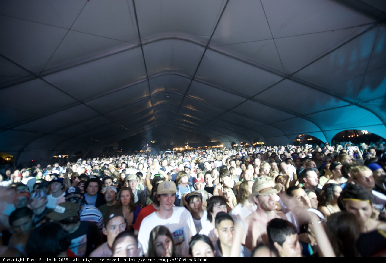 Coachella Crowd
