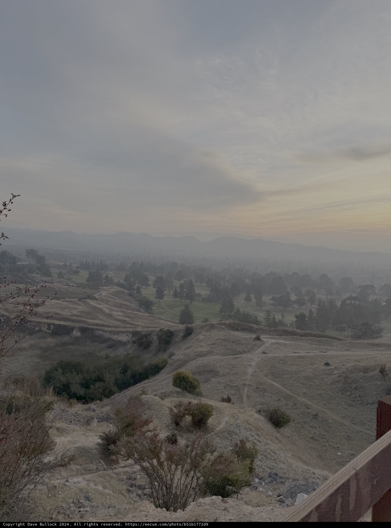 Misty Morning Valley with Rolling Hills