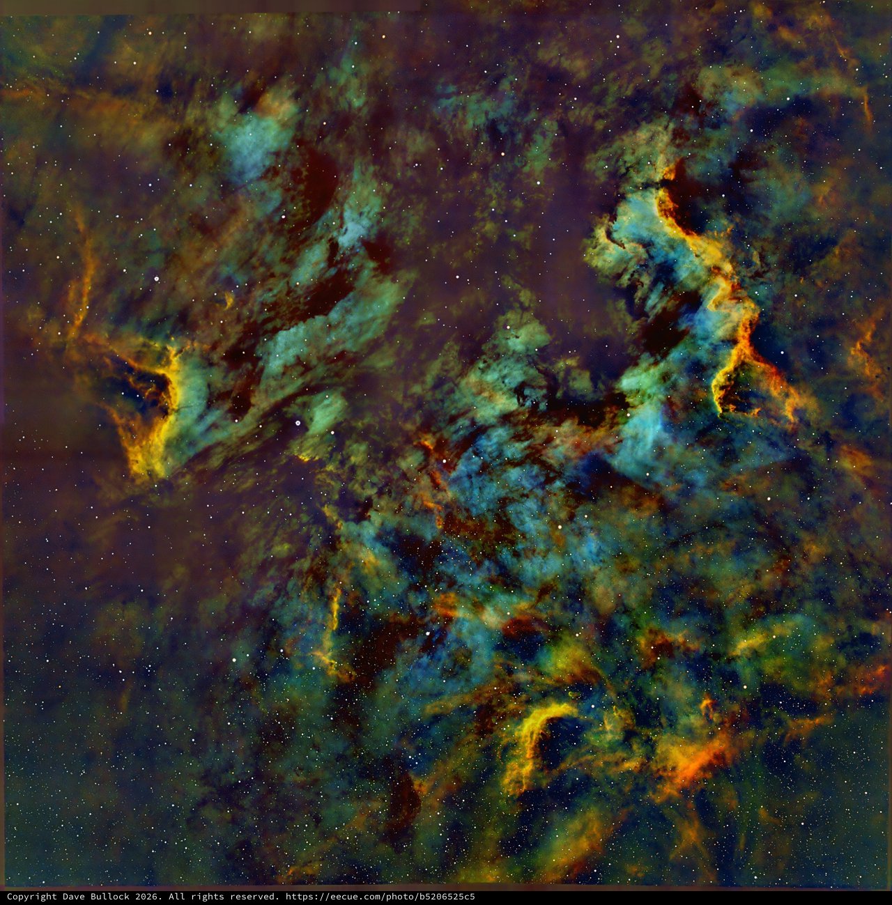 IC 5070 Pelican Nebula in SHO Narrowband Palette