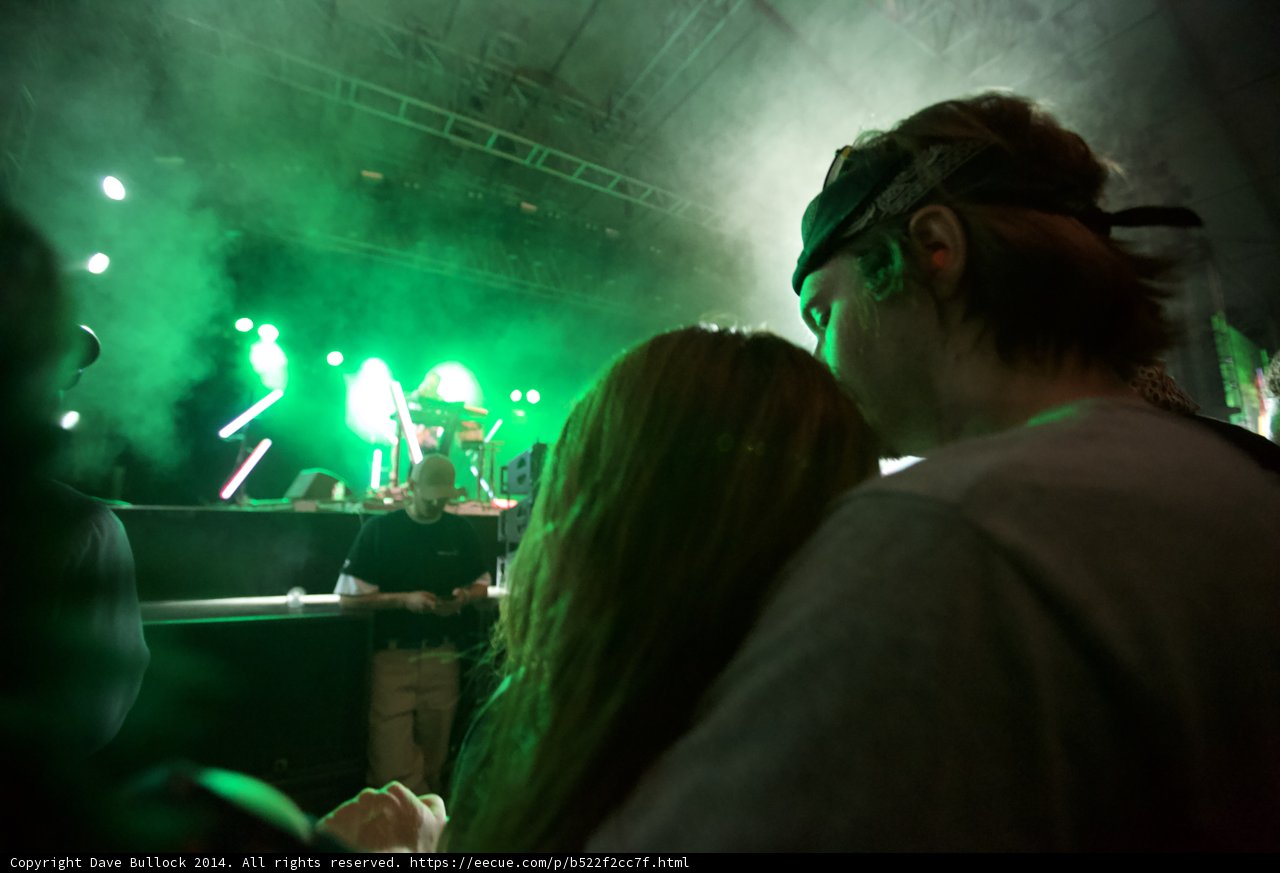 Spotlight on the Crowd