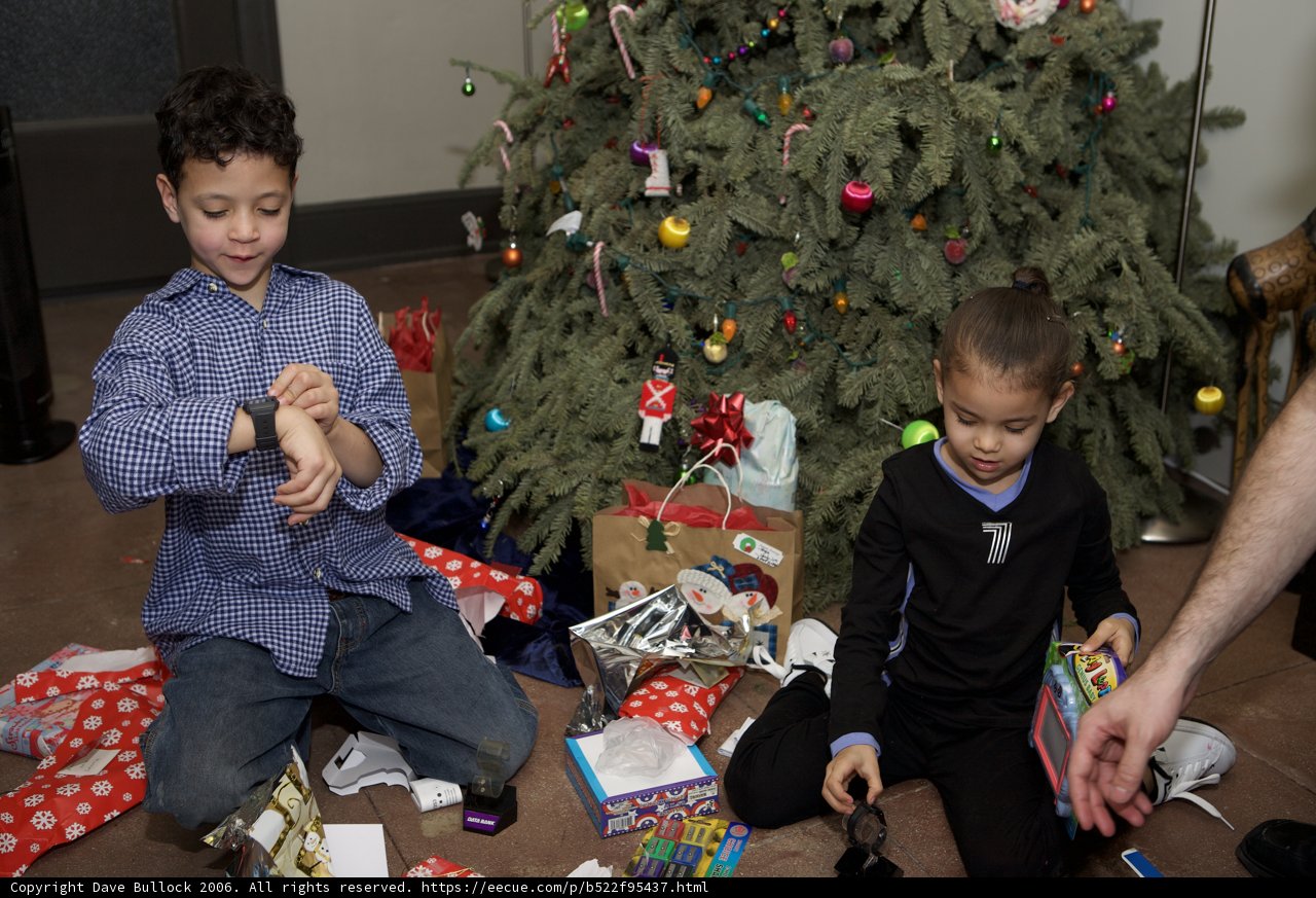 Christmas Joy