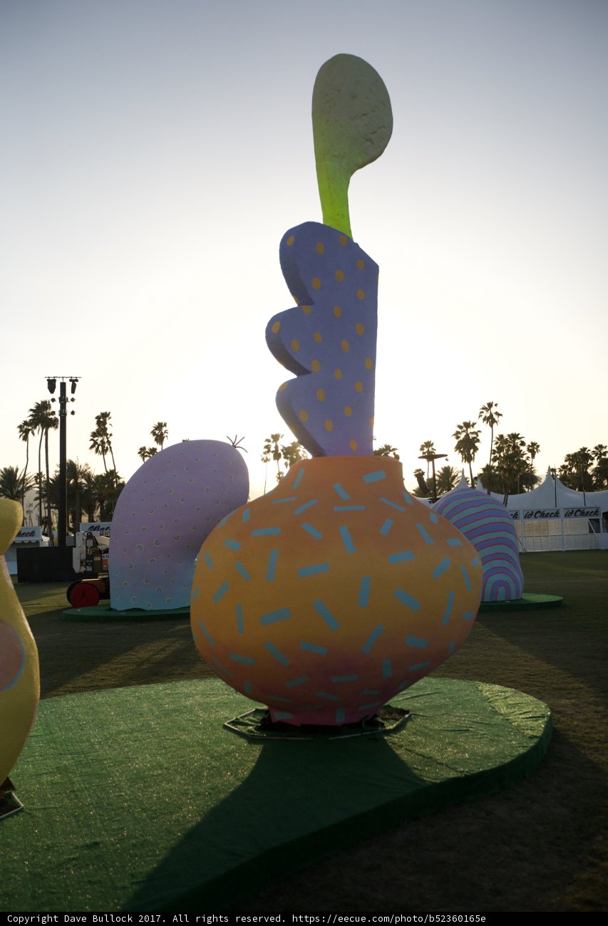 Inflatable Avian Wonder