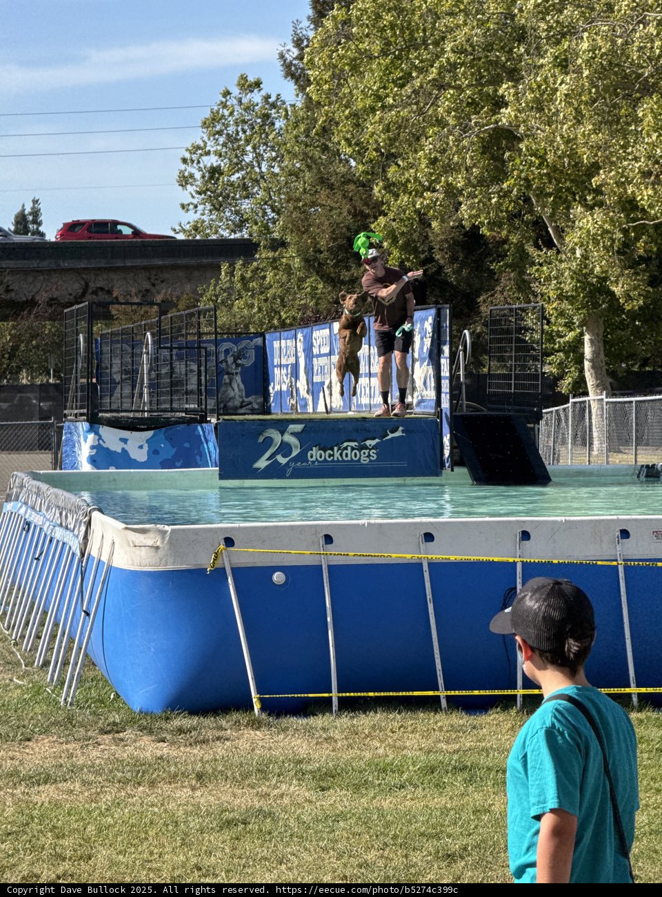 Summer Splash Extravaganza