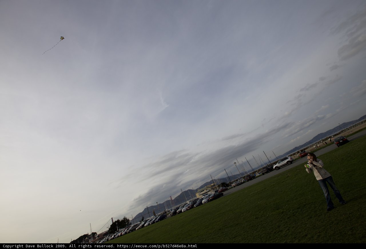 Flying High