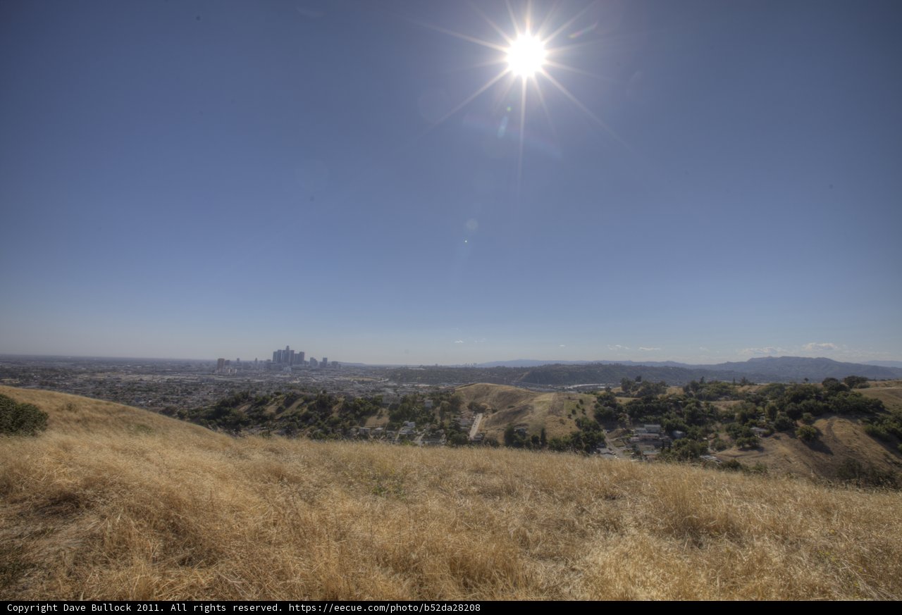 Sunlit Savanna