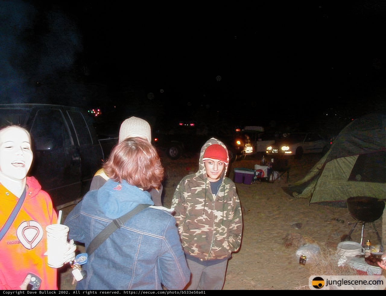 Nighttime Campfire Gathering