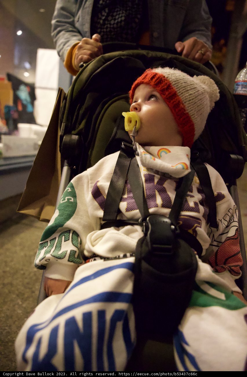 Baby Stroll through Japan Town, 2023
