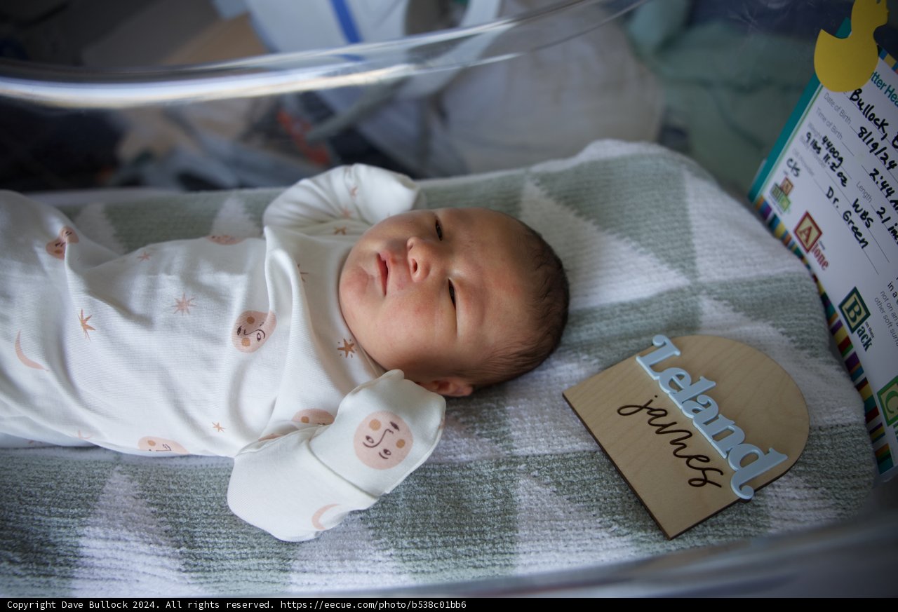 Welcome to the World, Leland