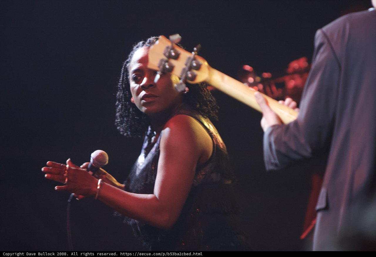 Black Dress Guitarist