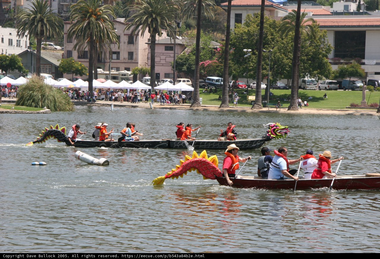 Dragon Boat Adventure