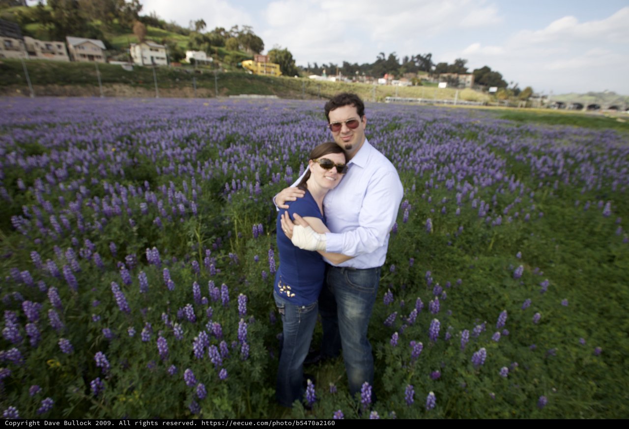 Couple Embracing in Purple Lupine Wildflower Field