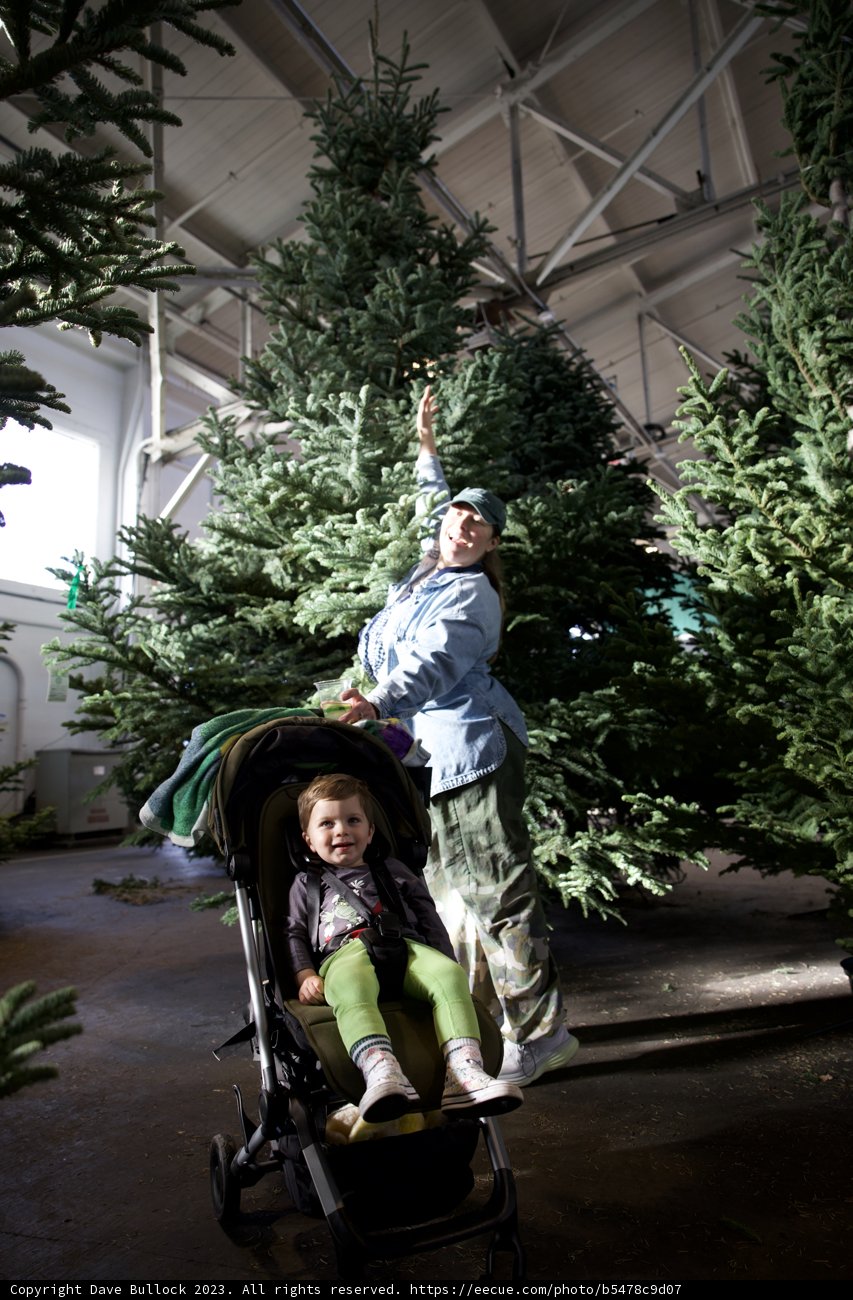 Holiday Stroll at Fort Mason