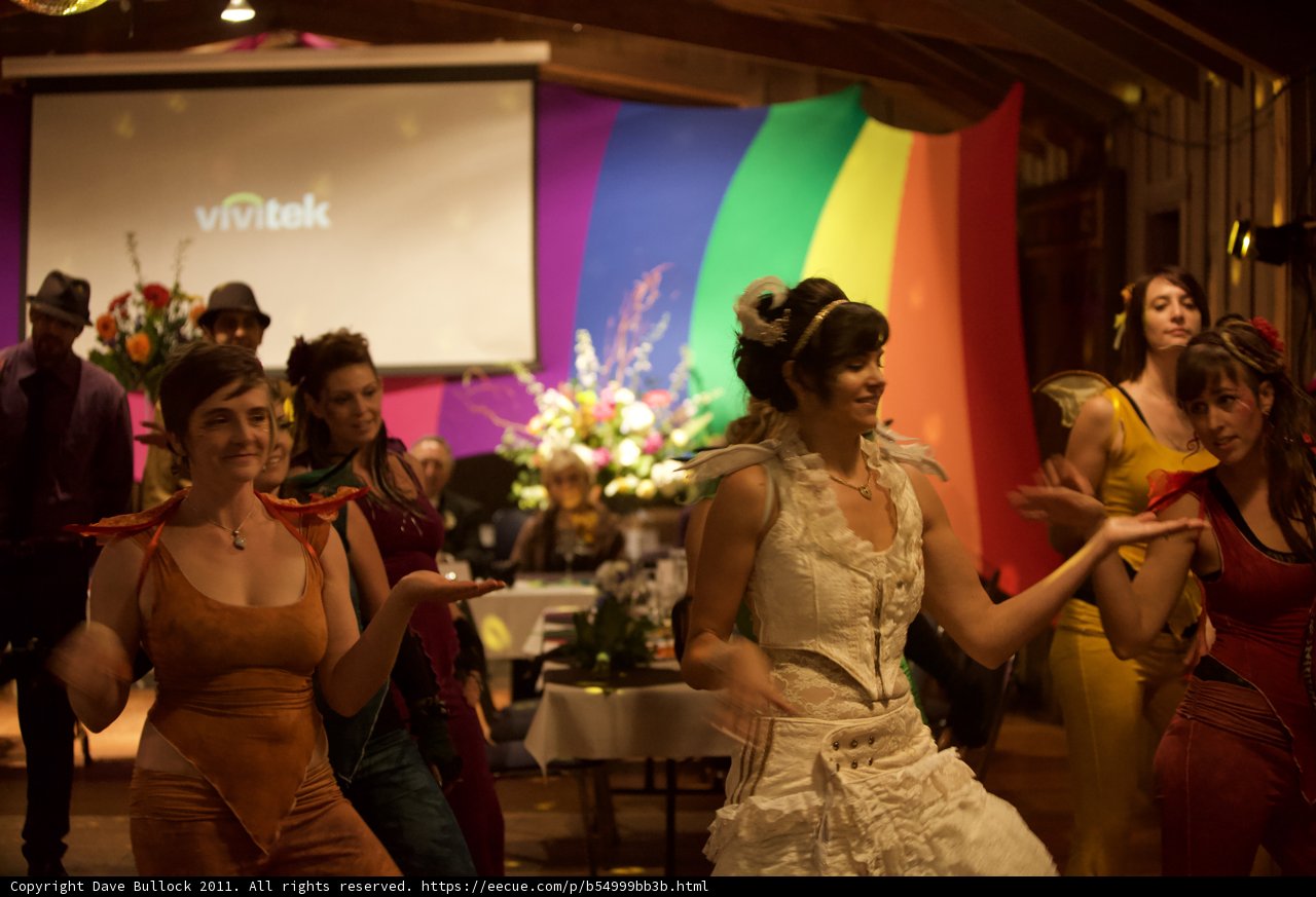 Wedding Celebration