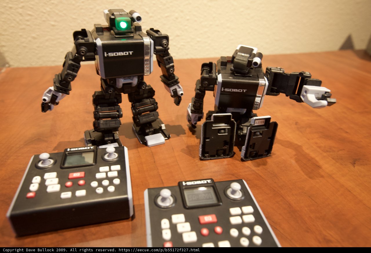 Robot Playtime on Hardwood Floor