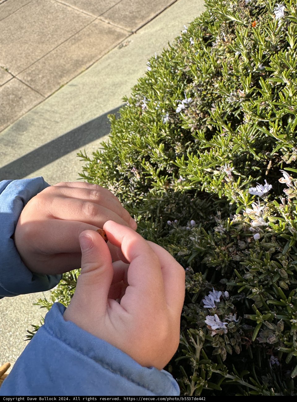 Discovering Nature's Wonders