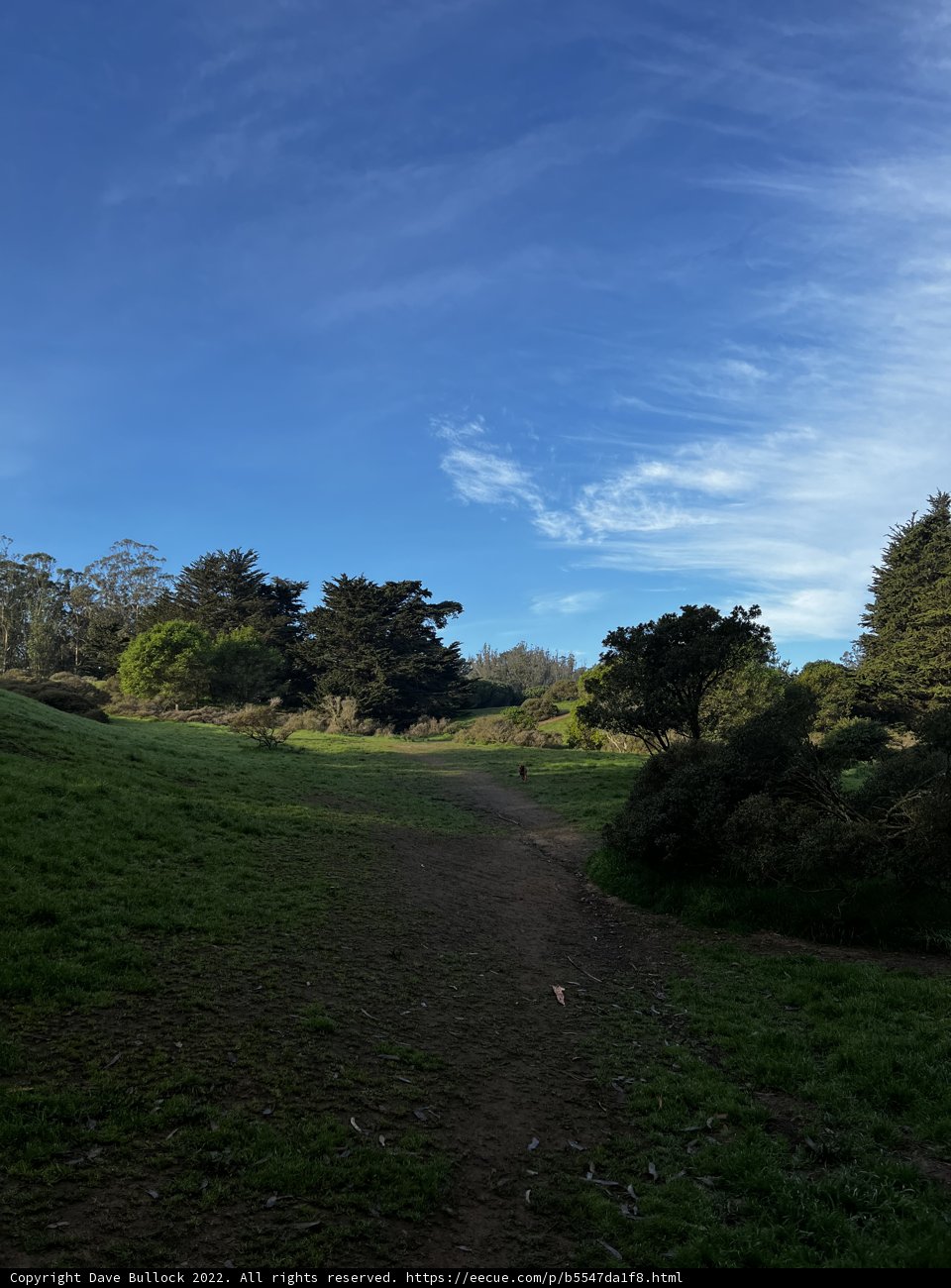 Serenity in McLaren Park